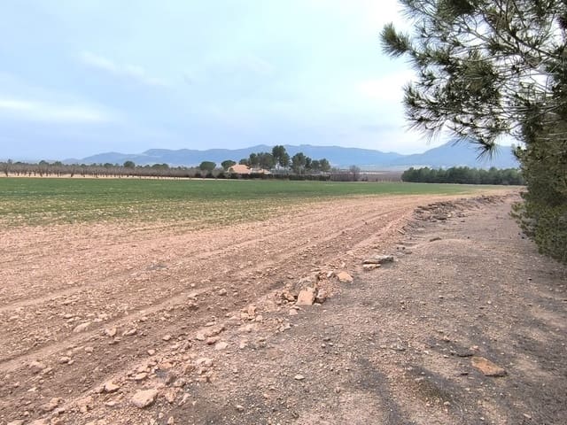 Ubebygd land til salgs i Yecla - € 29 999 (Ref: 8845951)