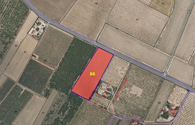 Terre non Aménagée à vendre à Yecla - 39 999 € (Ref: 8845951)