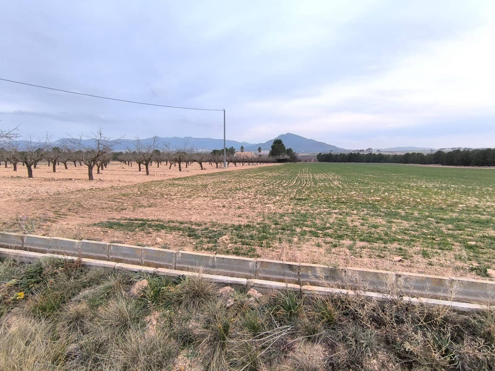 Terreno/Finca Rústica en Yecla en venta - 39.999 € (Ref: 8845951)