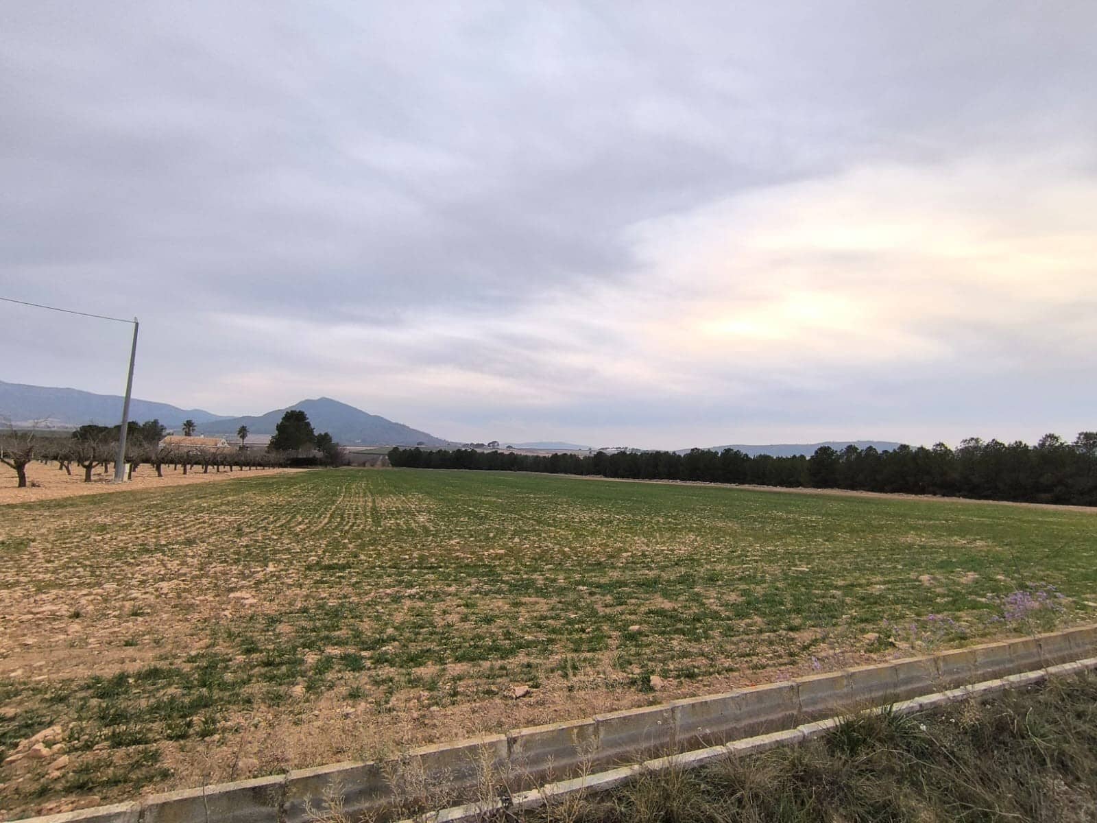 Terreno/Finca Rústica en Yecla en venta - 39.999 € (Ref: 8845951)