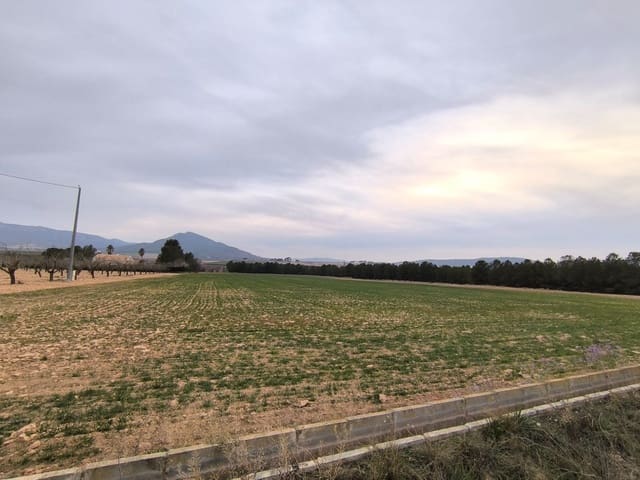 Terre non Aménagée à vendre à Yecla - 39 999 € (Ref: 8845951)