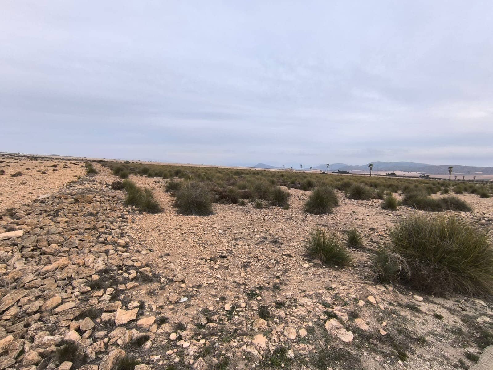 Grunde uden byggetilladelser til salg i Yecla - € 142.500 (Ref: 8845953)