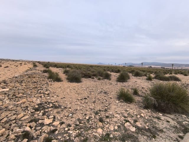 Mark till salu i Yecla - 142 500 € (Ref: 8845953)