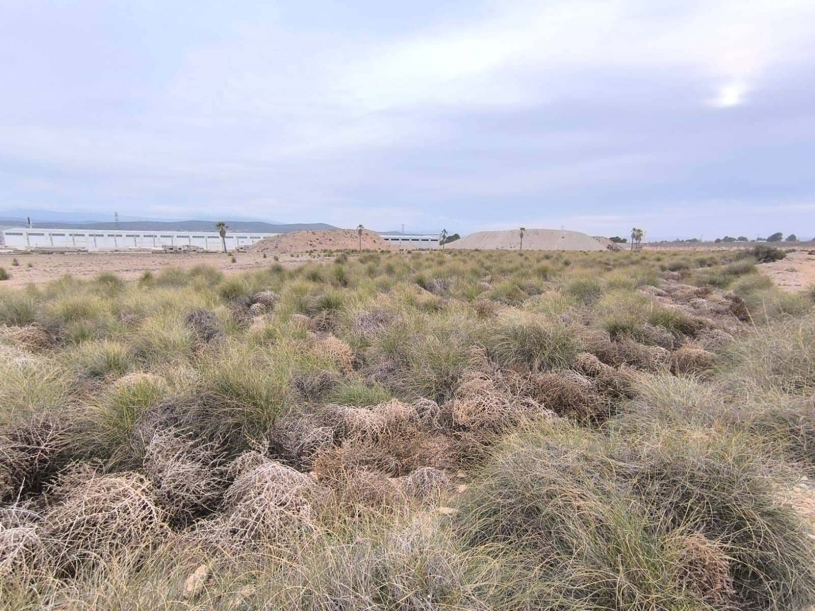 Grunde uden byggetilladelser til salg i Yecla - € 142.500 (Ref: 8845953)