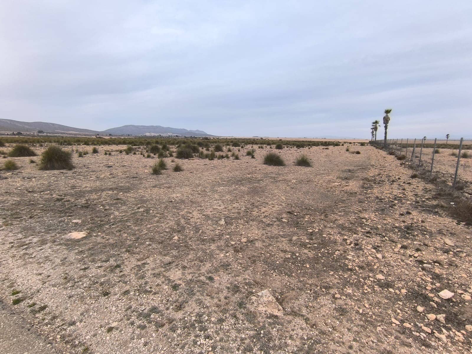 Grunde uden byggetilladelser til salg i Yecla - € 142.500 (Ref: 8845953)