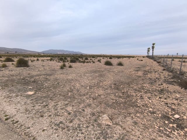 Mark till salu i Yecla - 142 500 € (Ref: 8845953)