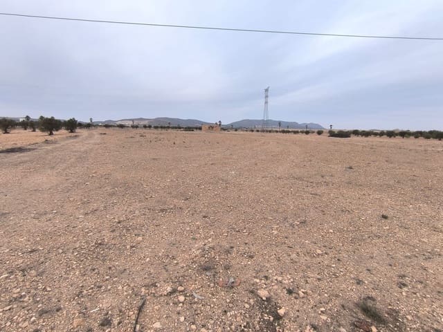 Mark till salu i Yecla - 142 500 € (Ref: 8845953)