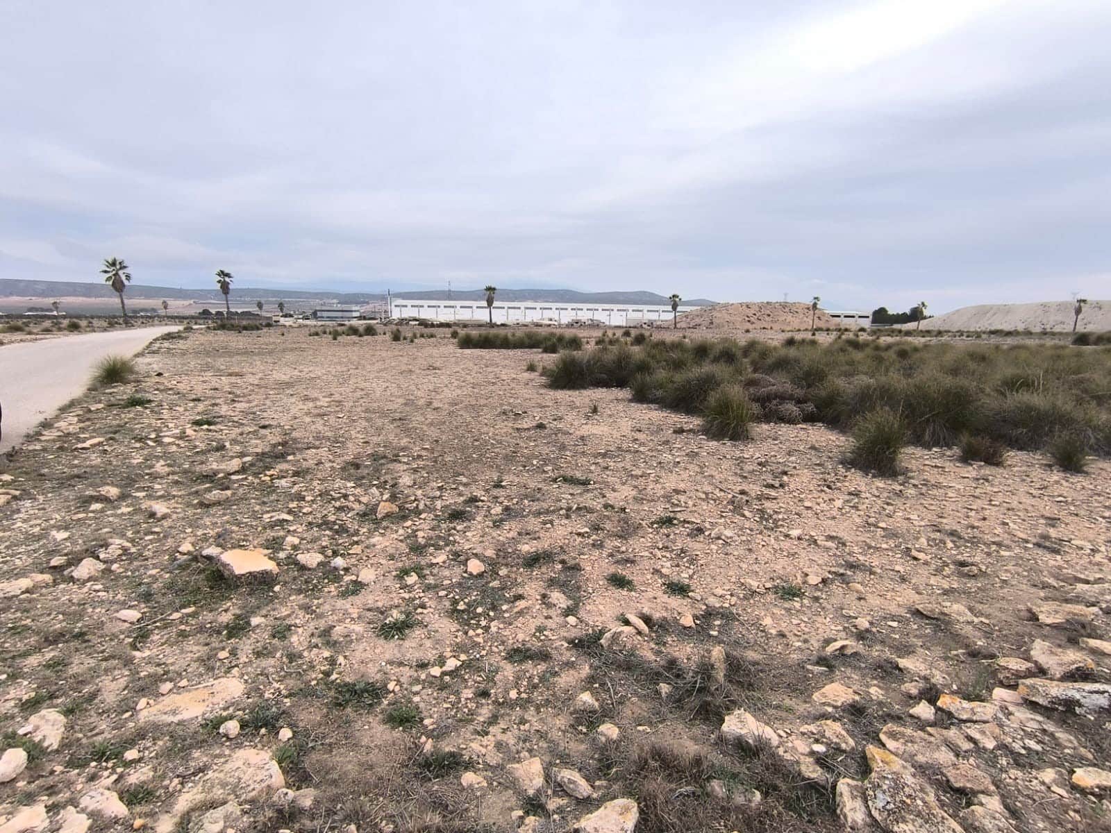 Terre non Aménagée à vendre à Yecla - 142 500 € (Ref: 8845953)