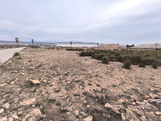 Terre non Aménagée à vendre à Yecla - 142 500 € (Ref: 8845953)