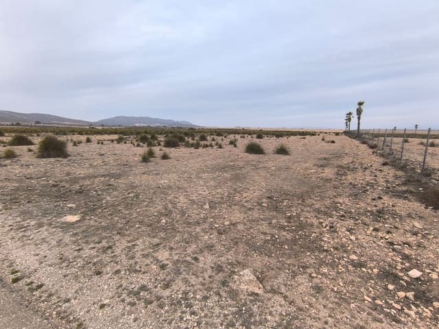 Terre non Aménagée à vendre à Yecla - 142 500 € (Ref: 8845953)