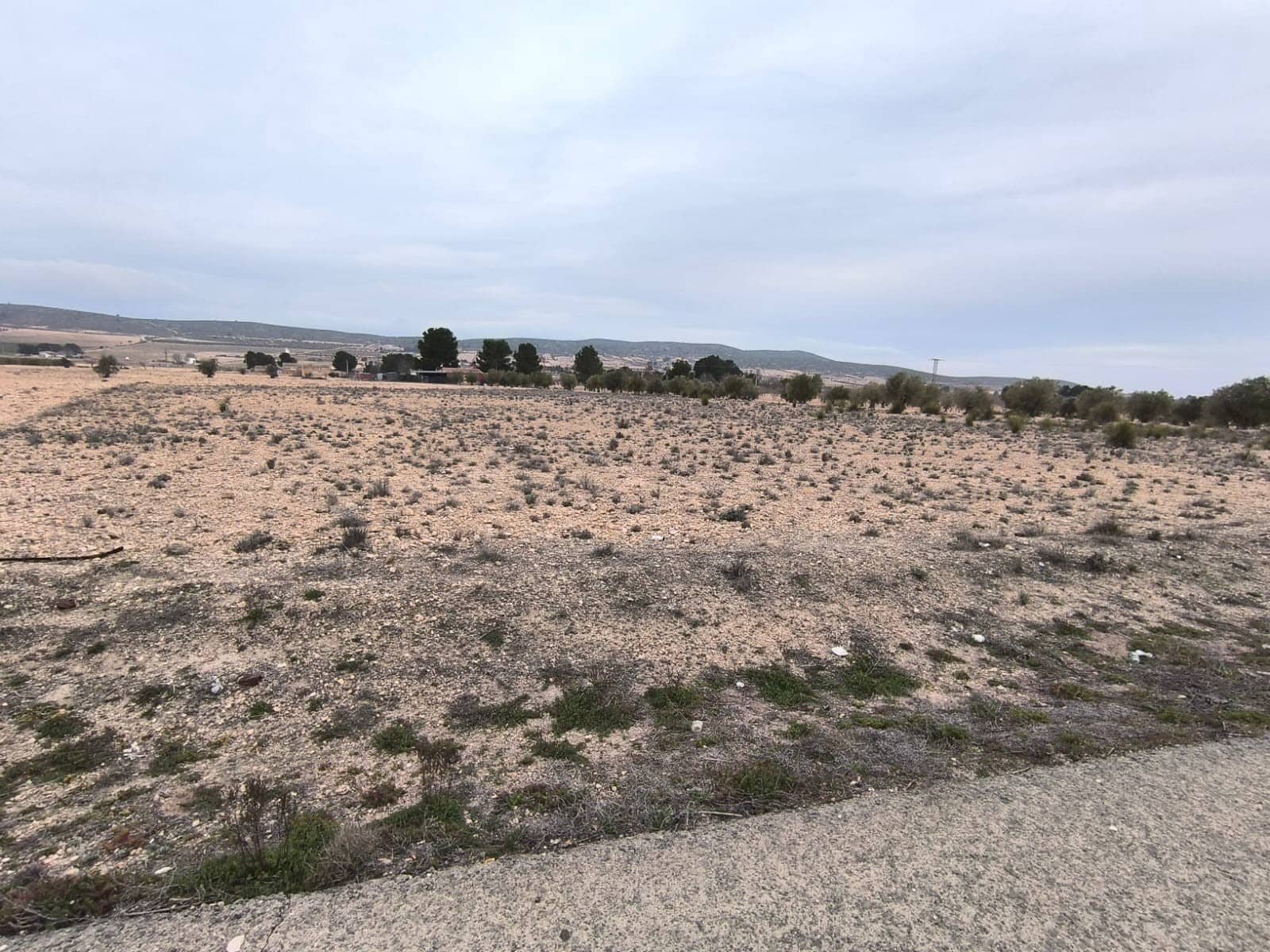Terre non Aménagée à vendre à Yecla - 142 500 € (Ref: 8845953)