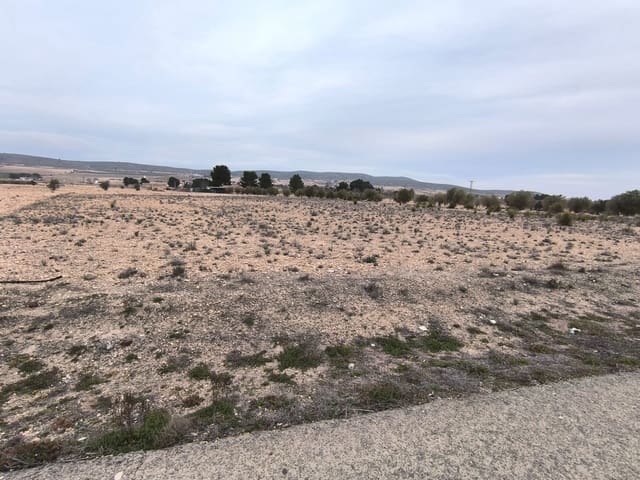Terre non Aménagée à vendre à Yecla - 142 500 € (Ref: 8845953)