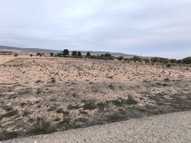 Terreno Non Edificato in vendita in Yecla - 142.500 € (Rif: 8845953)
