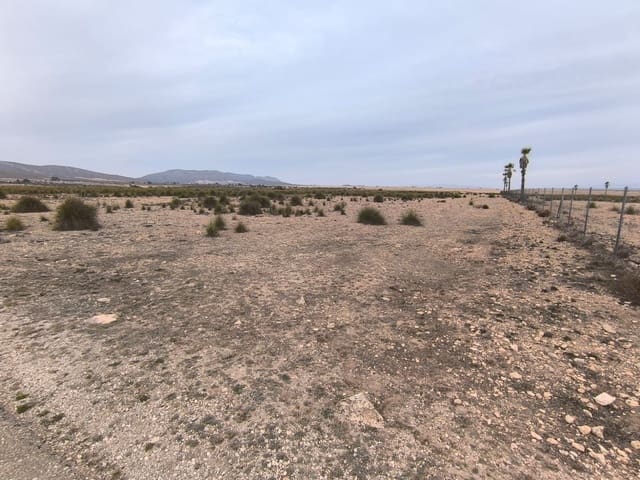 Terreno Non Edificato in vendita in Yecla - 142.500 € (Rif: 8845953)