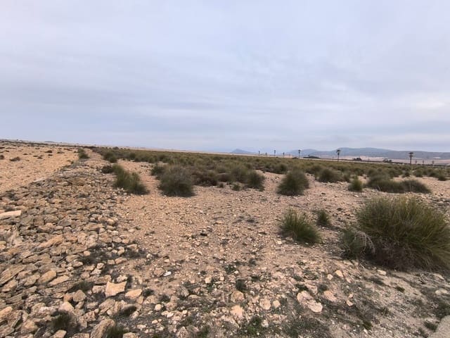 Terreno Non Edificato in vendita in Yecla - 142.500 € (Rif: 8845953)