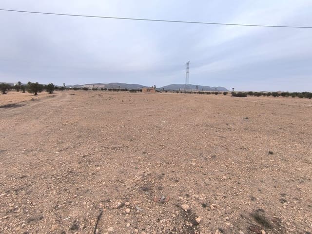 Terreno Non Edificato in vendita in Yecla - 142.500 € (Rif: 8845953)