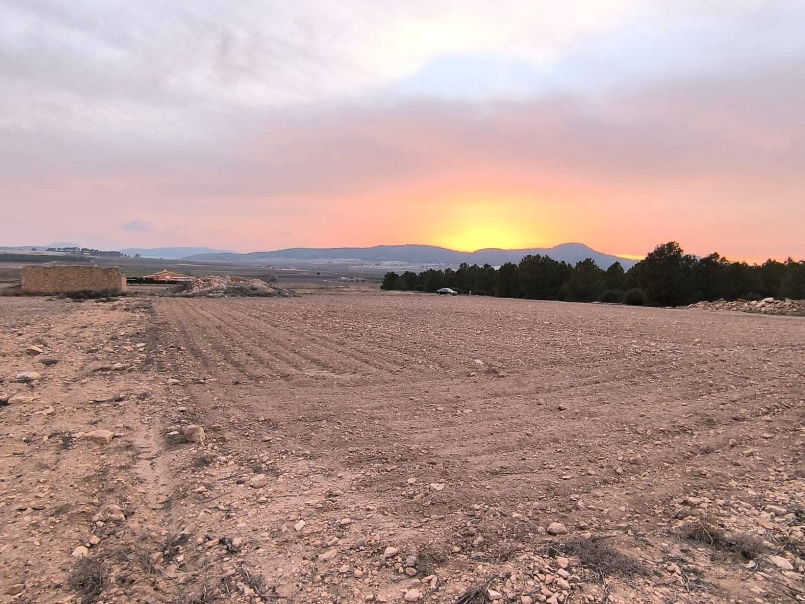 Terre non Aménagée à vendre à Yecla - 64 500 € (Ref: 8846010)