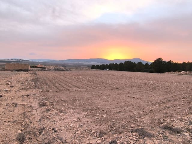 Terre non Aménagée à vendre à Yecla - 64 500 € (Ref: 8846010)