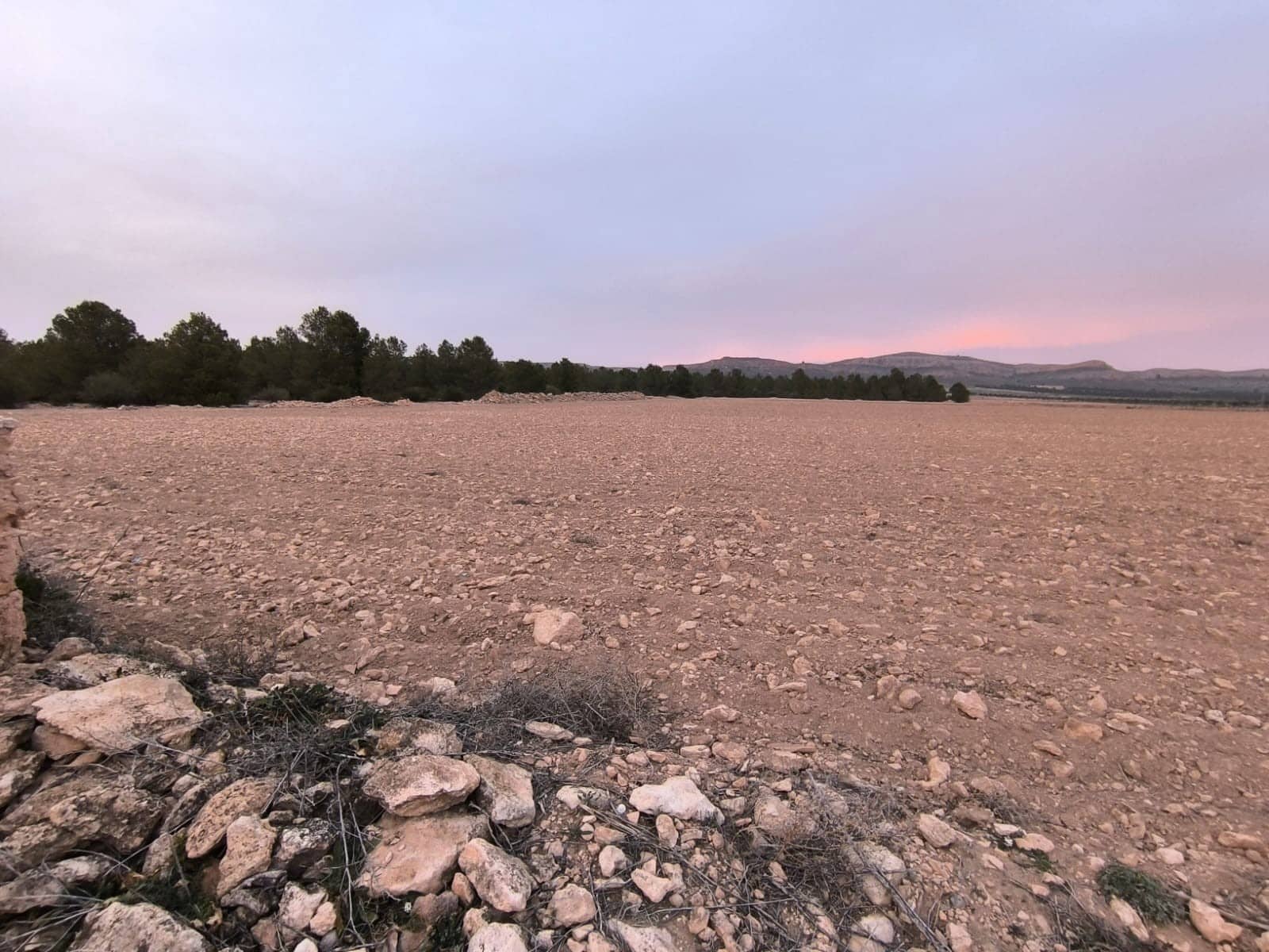 Terre non Aménagée à vendre à Yecla - 64 500 € (Ref: 8846010)