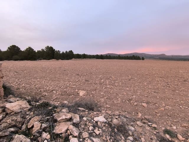 Terre non Aménagée à vendre à Yecla - 64 500 € (Ref: 8846010)
