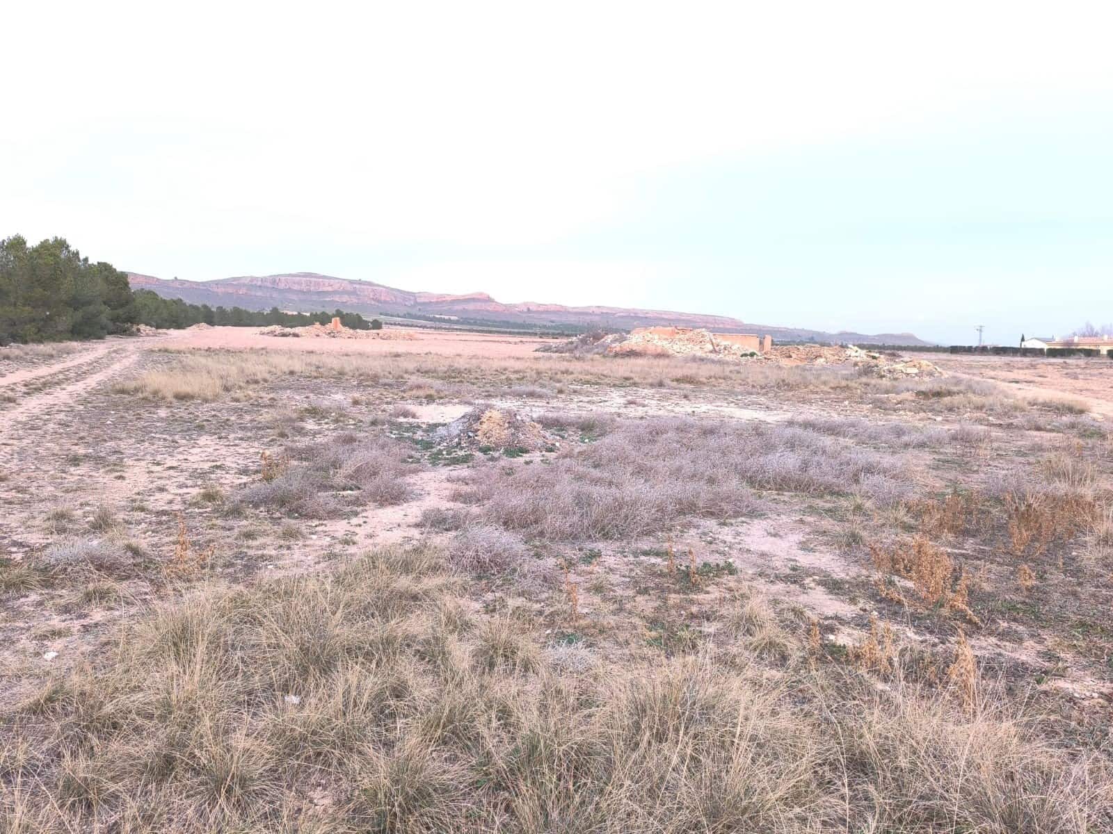 Terre non Aménagée à vendre à Yecla - 64 500 € (Ref: 8846010)