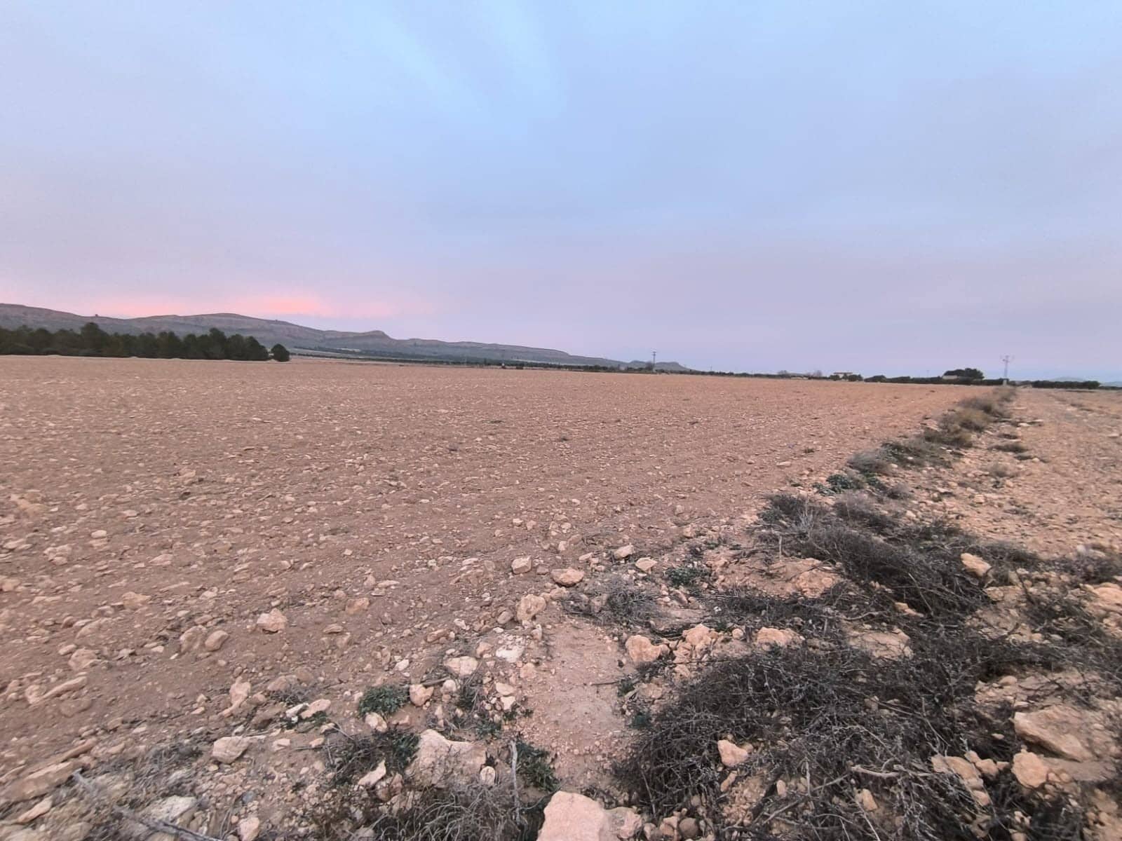 Terre non Aménagée à vendre à Yecla - 64 500 € (Ref: 8846010)