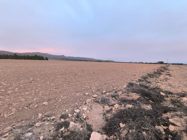 Terre non Aménagée à vendre à Yecla - 64 500 € (Ref: 8846010)
