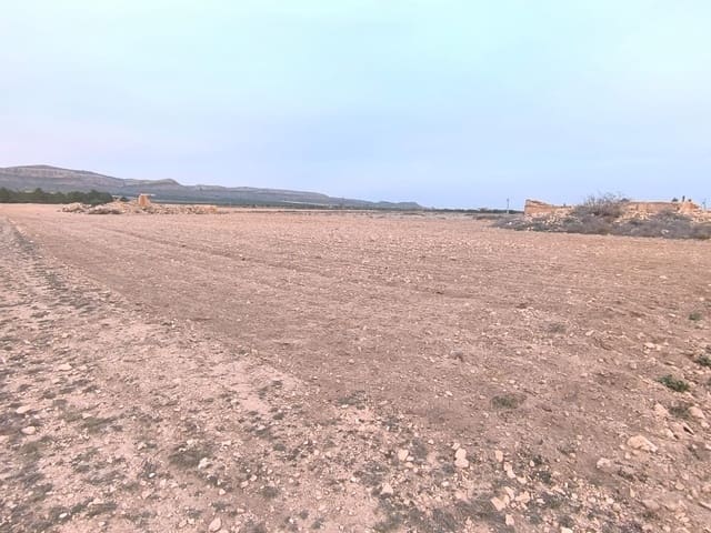 Terre non Aménagée à vendre à Yecla - 64 500 € (Ref: 8846010)