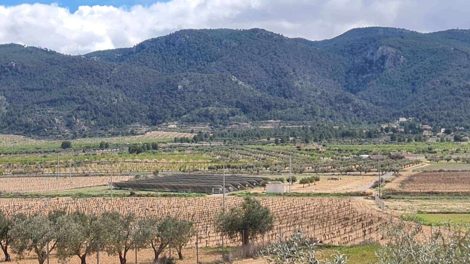 2 soverom Finca/Herregård til salgs i Yecla - € 129 000 (Ref: 8859873)