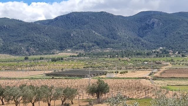 2 chambre Finca/Maison de Campagne à vendre à Yecla - 129 000 € (Ref: 8859873)