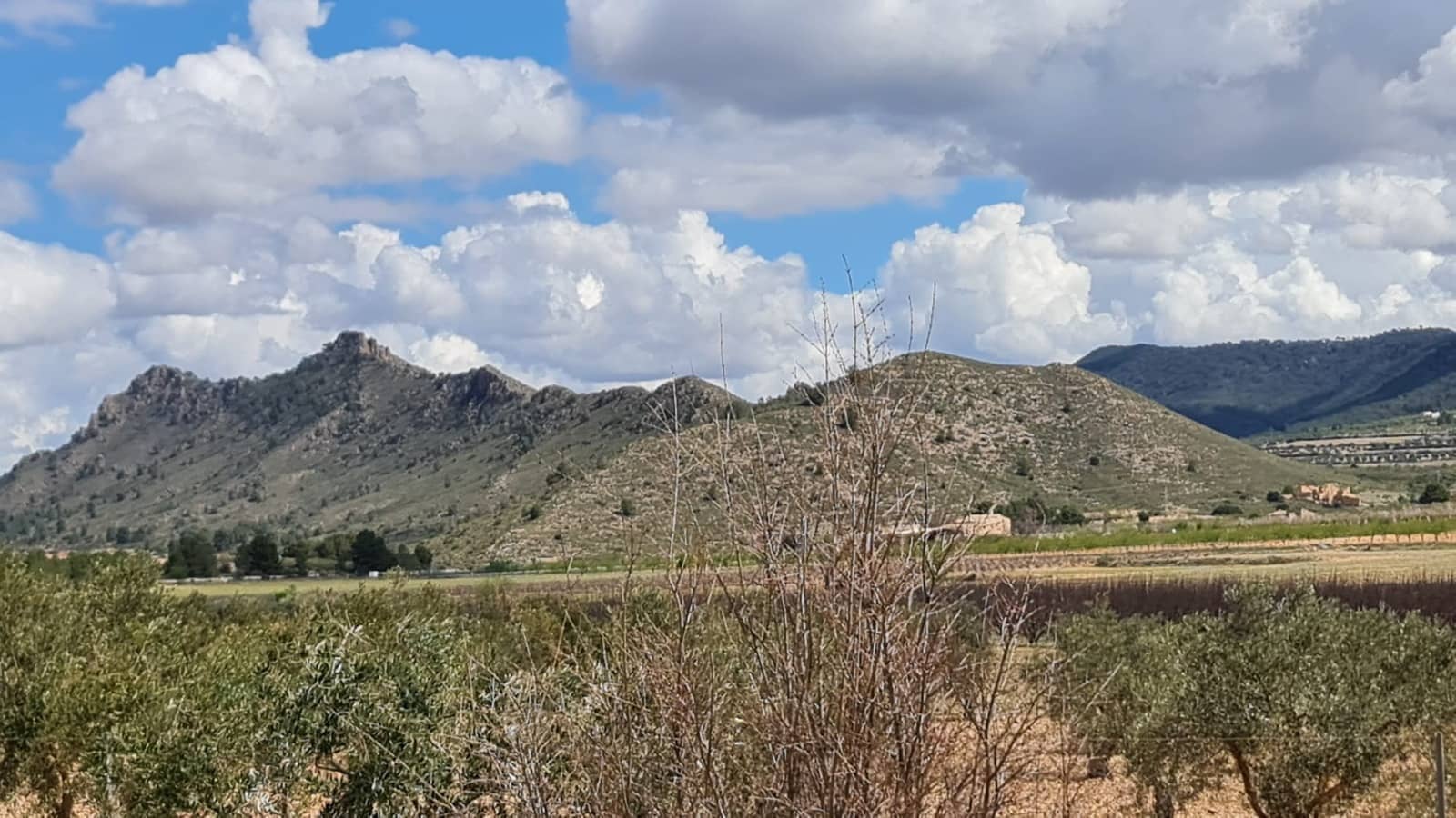 2 soverom Finca/Herregård til salgs i Yecla - € 129 000 (Ref: 8859873)