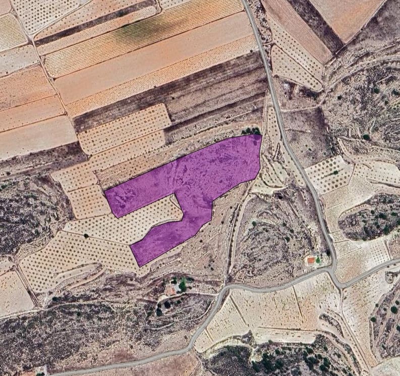 Terre non Aménagée à vendre à Pinoso - 44 995 € (Ref: 8863648)