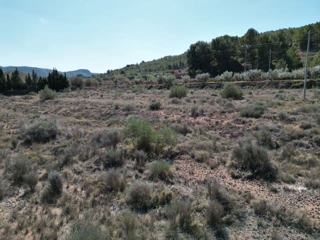 Mark till salu i Pinoso - 34 995 € (Ref: 8865295)