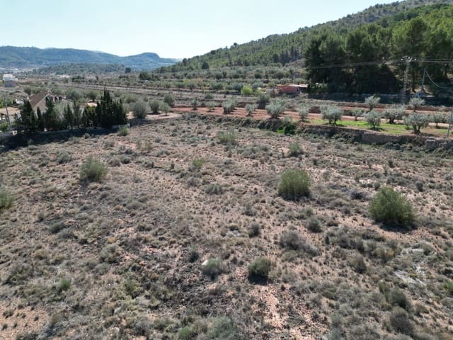 Undeveloped Land for sale in Pinoso - € 34,995 (Ref: 8865295)
