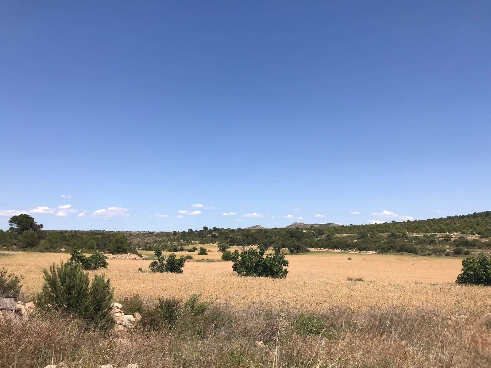 8 sypialnia Finka/Dom wiejski na sprzedaż w Yecla z garażem - 629 000 € (Ref: 8893456)