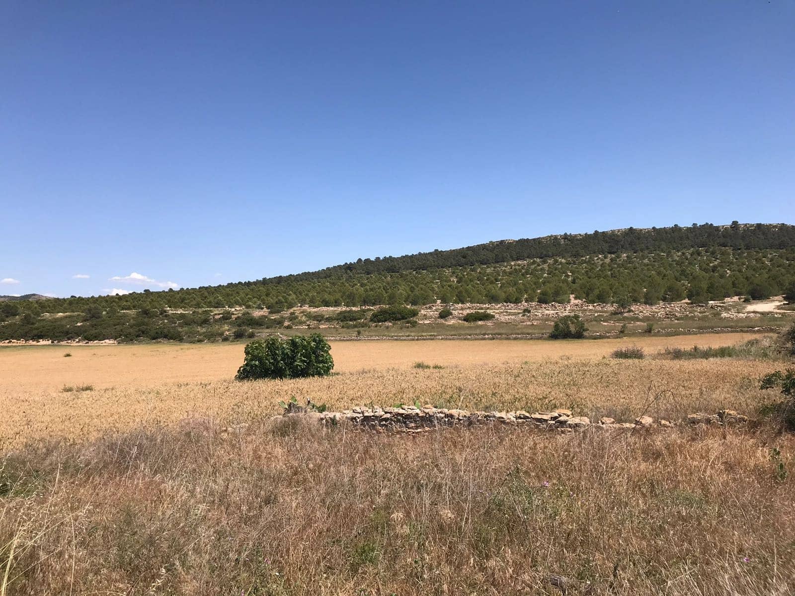 8 sypialnia Finka/Dom wiejski na sprzedaż w Yecla z garażem - 629 000 € (Ref: 8893456)