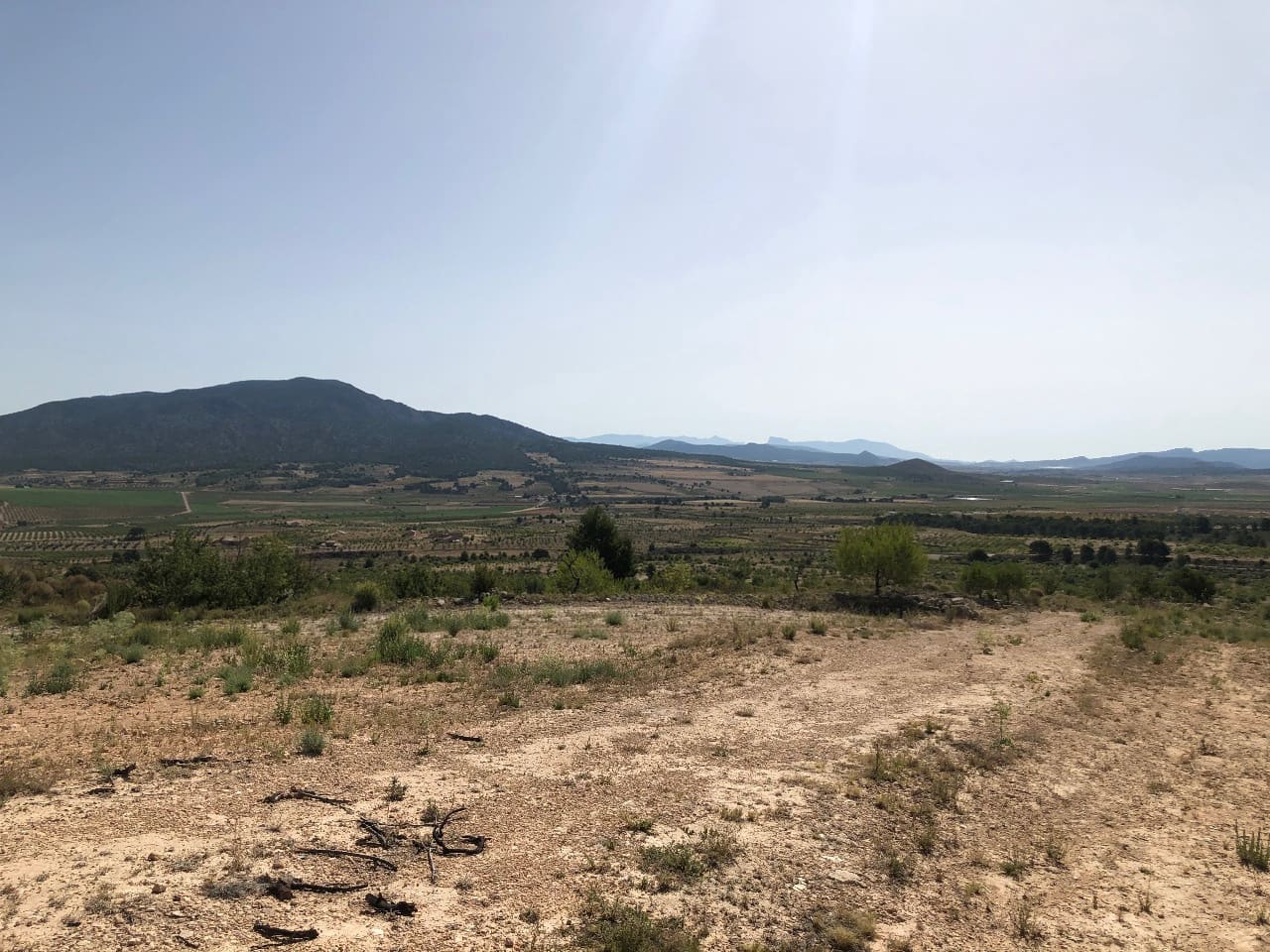 Terre non Aménagée à vendre à Yecla - 59 995 € (Ref: 8894134)