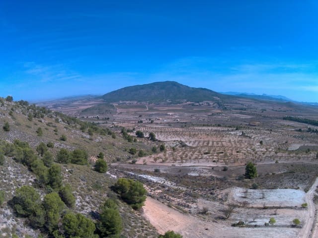 Terre non Aménagée à vendre à Yecla - 59 995 € (Ref: 8894134)