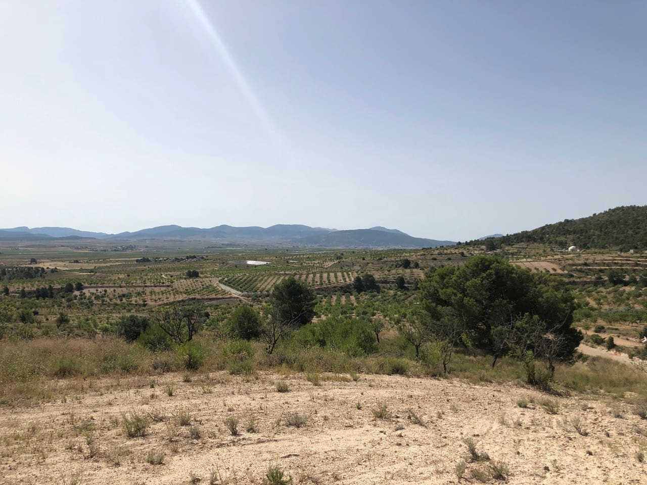 Terre non Aménagée à vendre à Yecla - 59 995 € (Ref: 8894134)
