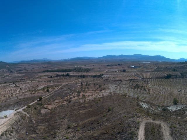 Terre non Aménagée à vendre à Yecla - 59 995 € (Ref: 8894134)
