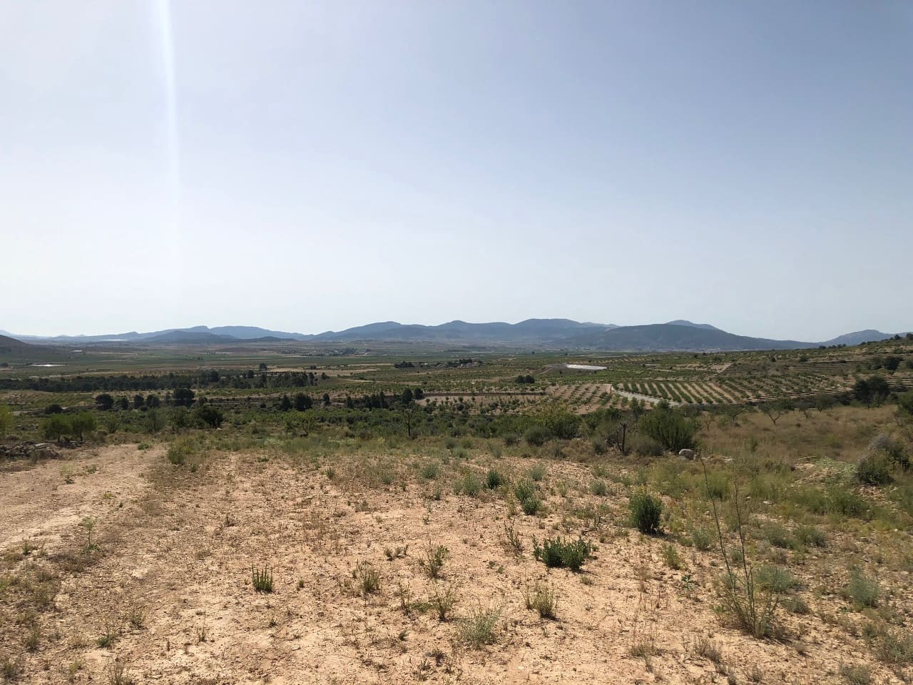 Terre non Aménagée à vendre à Yecla - 59 995 € (Ref: 8894134)