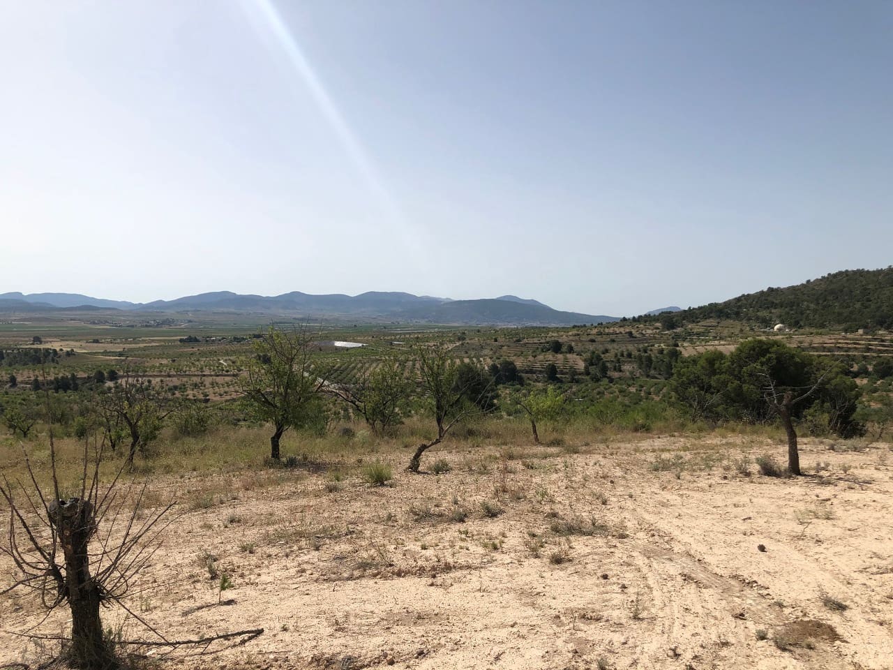 Terre non Aménagée à vendre à Yecla - 59 995 € (Ref: 8894134)