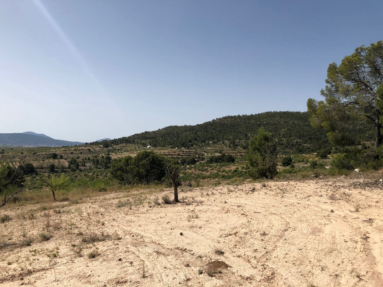 Terre non Aménagée à vendre à Yecla - 59 995 € (Ref: 8894134)