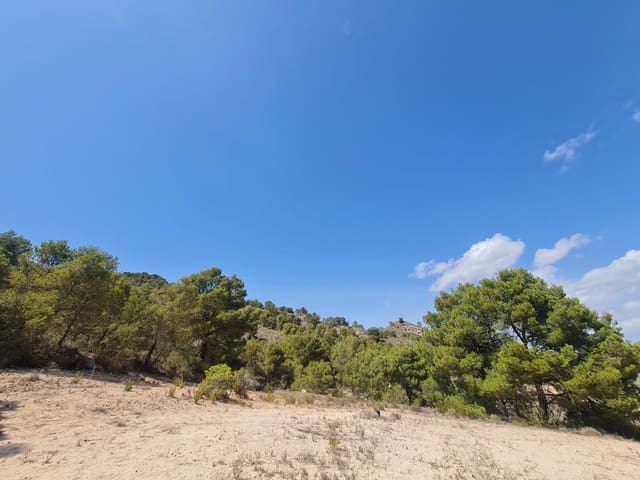 Terre non Aménagée à vendre à Yecla - 59 995 € (Ref: 8894134)
