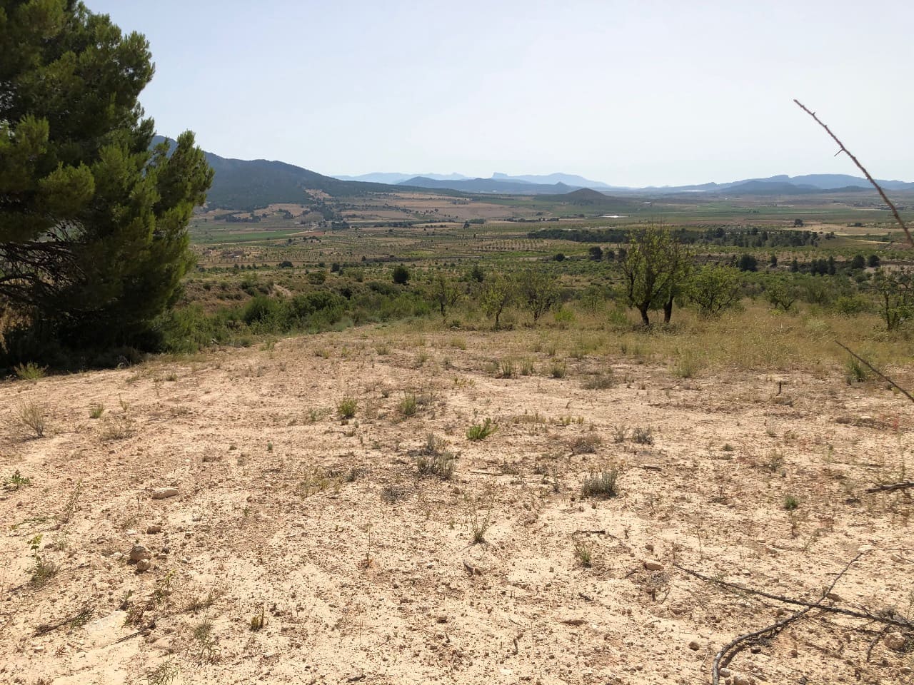 Terre non Aménagée à vendre à Yecla - 59 995 € (Ref: 8894134)