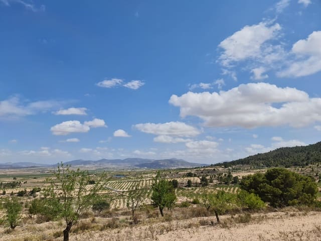 Terre non Aménagée à vendre à Yecla - 59 995 € (Ref: 8894134)