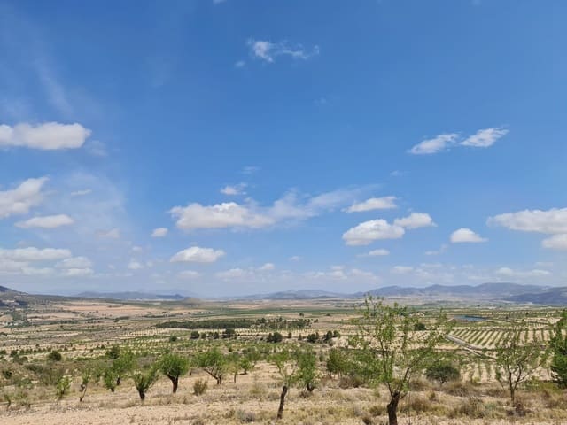 Terre non Aménagée à vendre à Yecla - 59 995 € (Ref: 8894134)