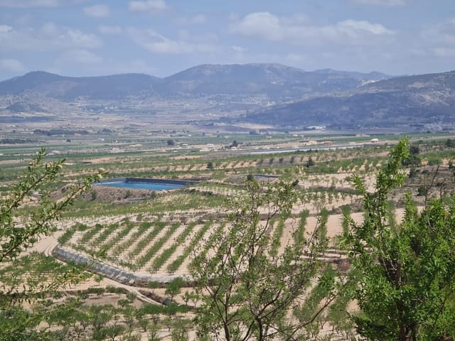 Terre non Aménagée à vendre à Yecla - 59 995 € (Ref: 8894134)