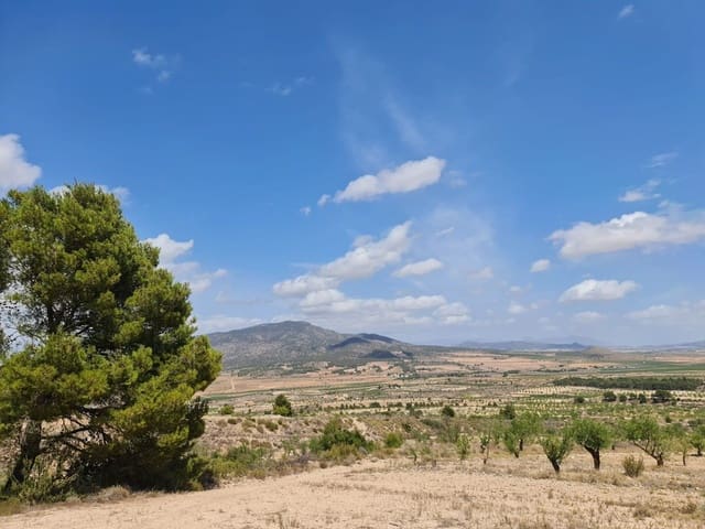 Teren niezagospodarowany na sprzedaż w Yecla - 59 995 € (Ref: 8894134)