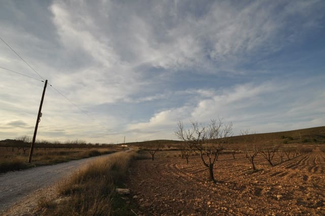 Terre non Aménagée à vendre à Abanilla - 85 995 € (Ref: 8901678)